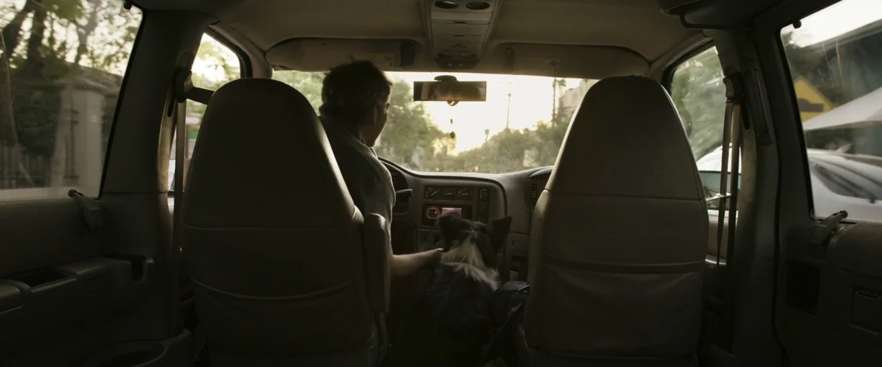 Dog Life (2024) movie still: medium — A man drives a car during golden hour while a dog sits beside him. The interior of the vehicle is viewed from…