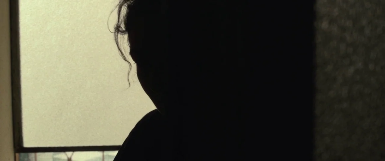 Rust And Bone (2012) movie still: closeup — A person is positioned against a bright frosted window pane in a dim interior. The subject remains in…