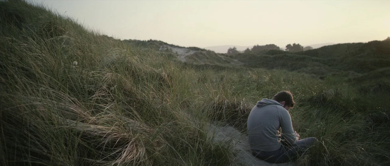 What Richard Did (2012) movie still: wide — A vast expanse of coastal sand dunes covered in tall, swaying marram grass. A lone young man sits on a…