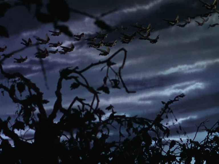 The Wizard Of Oz (1939) movie still: establishing — A dark night sky features a flock of flying creatures passing before layered clouds.…