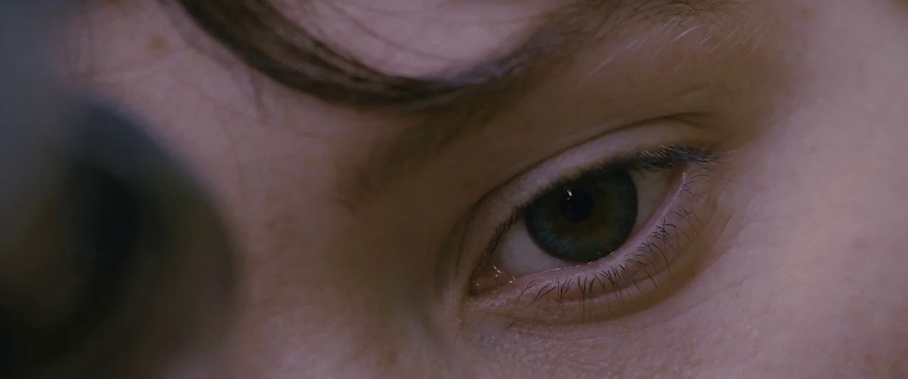 Stoker (2013) movie still: closeup — The frame is a tight close-up of a human eye. The subject is looking directly ahead.