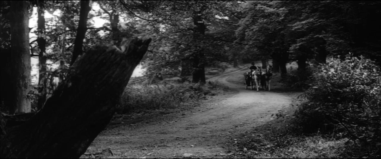 The Haunting (1963) movie still: wide — A narrow dirt path winds through a dense thicket of tall, leafy deciduous trees. A horse-drawn carriage…