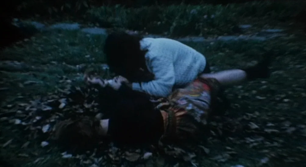 The Last House on the Left (2009) movie still: medium — A dark, grassy field covered in scattered autumn leaves during the night. Two people are…