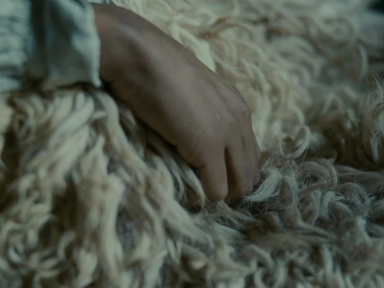 Wuthering Heights movie still: closeup — A human hand is positioned on a dense, off-white shaggy wool or fur surface. The fingers are slightly…