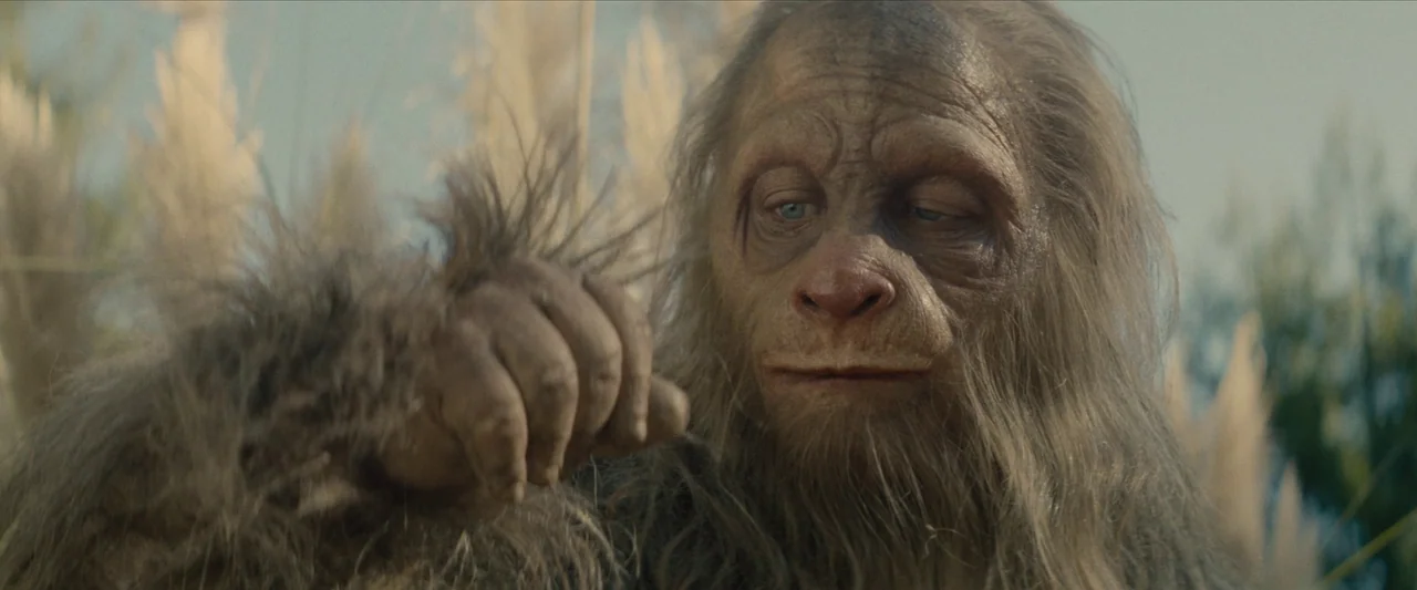 Sasquatch Sunset (2024) movie still: closeup — A creature with brown fur stands in a field of tall dry grass. The creature gazes downward at its own…
