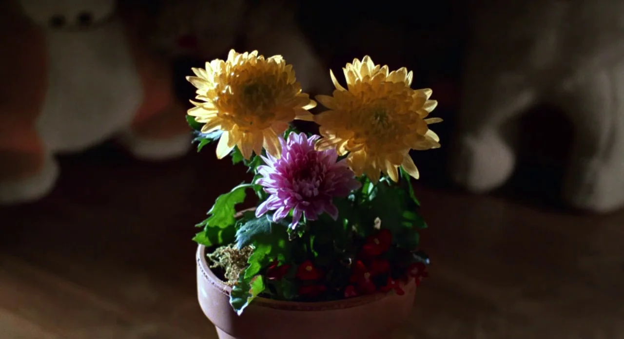 E.T. The Extra-Terrestrial (1982) movie still: closeup — A small terracotta pot contains two yellow chrysanthemums and one central purple…