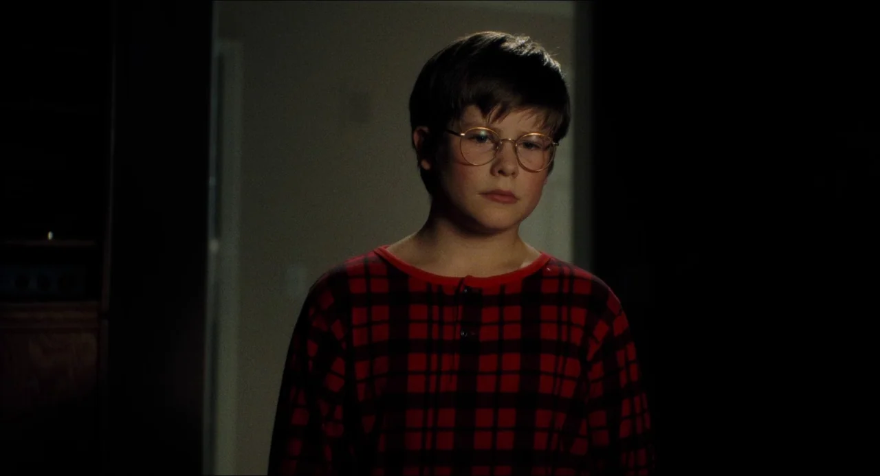 Happiness (1998) movie still: medium — A dimly lit indoor hallway with a blurred light-colored doorway in the distance. A young boy with glasses…