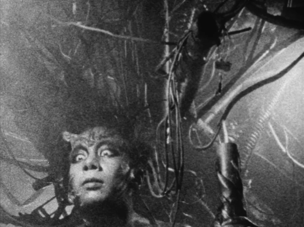Tetsuo: The Iron Man (1989) movie still: closeup — A dimly lit room filled with thick, dangling black cables and industrial pipes overhead. An East…