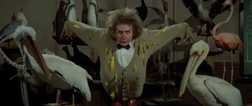 Brewster McCloud (1970) movie still: medium — A room filled with numerous preserved birds on wooden stands against a plain wall. A man in a beige…