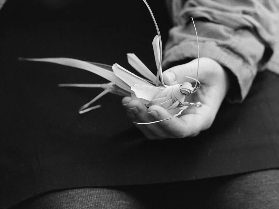 Tabu (2012) movie still: closeup — A person's hand holds a small grass woven creature against a dark background. The woven figure mimics the shape…
