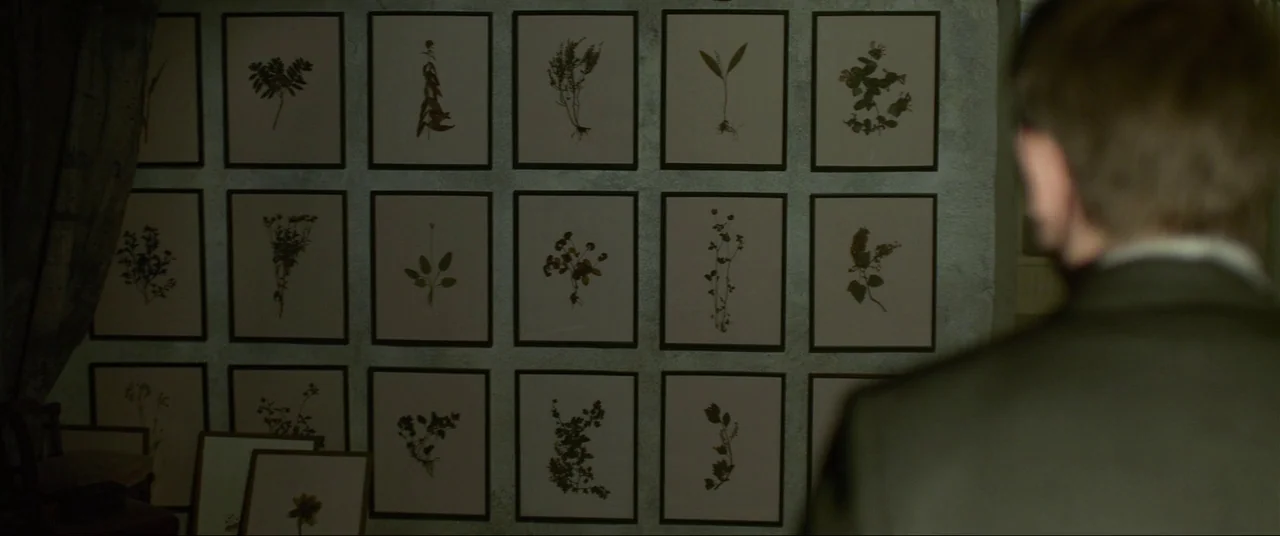 The Girl With The Dragon Tattoo (2011) movie still: medium — An interior wall covered in rows of framed botanical prints displaying dried plant…