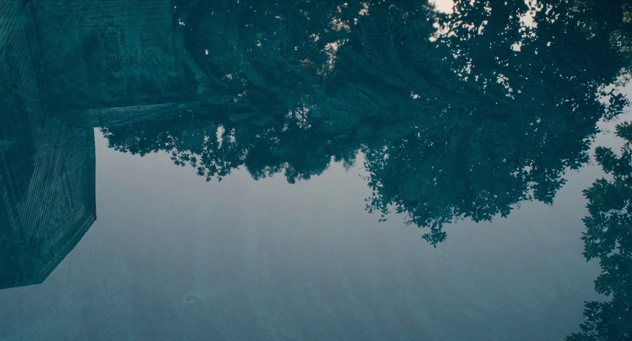 Causeway movie still: establishing — A dark body of water reflects the inverted shapes of dense overhanging trees. The corner of a man-made stone…