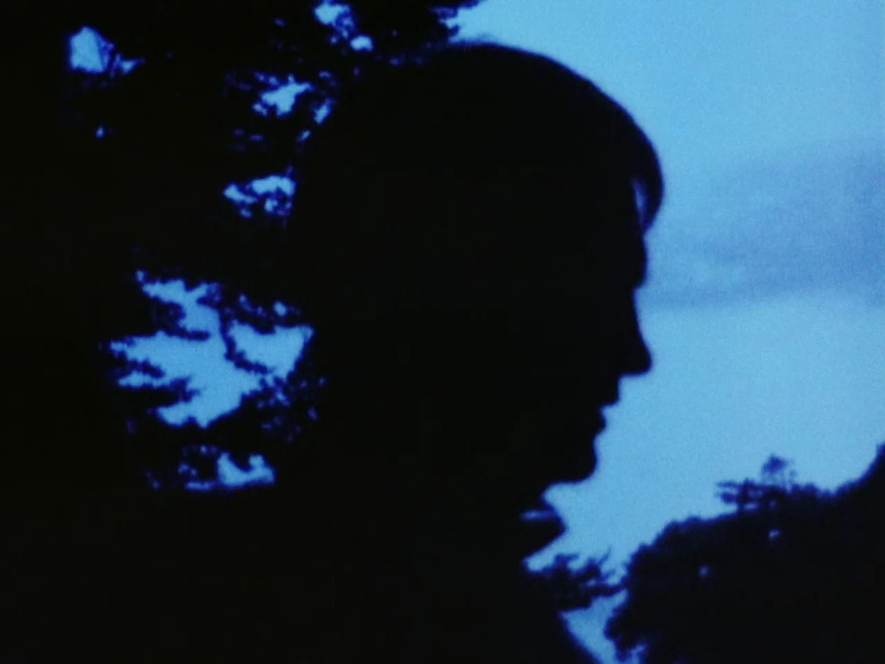 Festen (1998) movie still: closeup — A dark silhouette of a man stands outdoors during the blue hour of twilight. Dense tree silhouettes are visible…