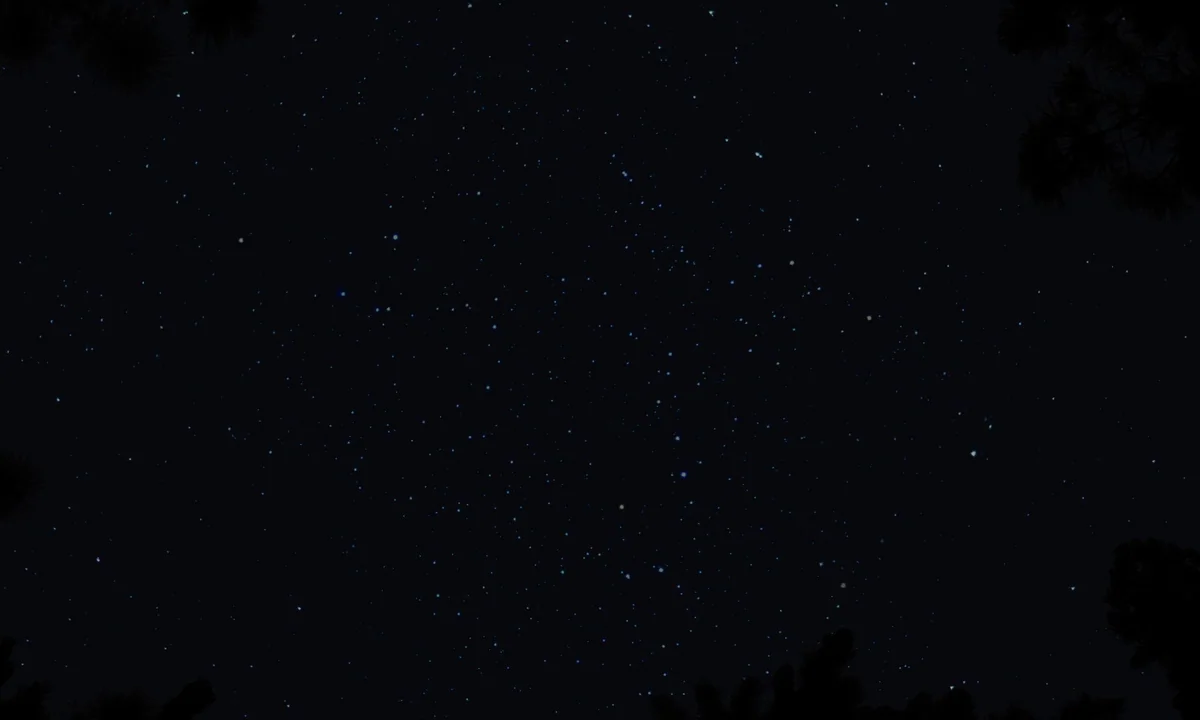 Slow West (2015) movie still: establishing — A dark, expansive night sky is densely scattered with numerous tiny, bright stars. Dark silhouettes of…