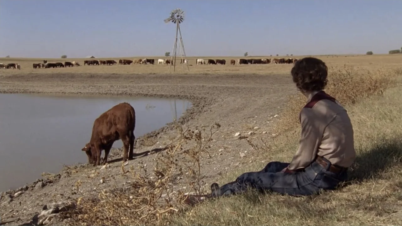 Temple Grandin (2010) movie still: wide — A dry rural pasture contains a small muddy pond and a distant metal windmill. A young person in a…