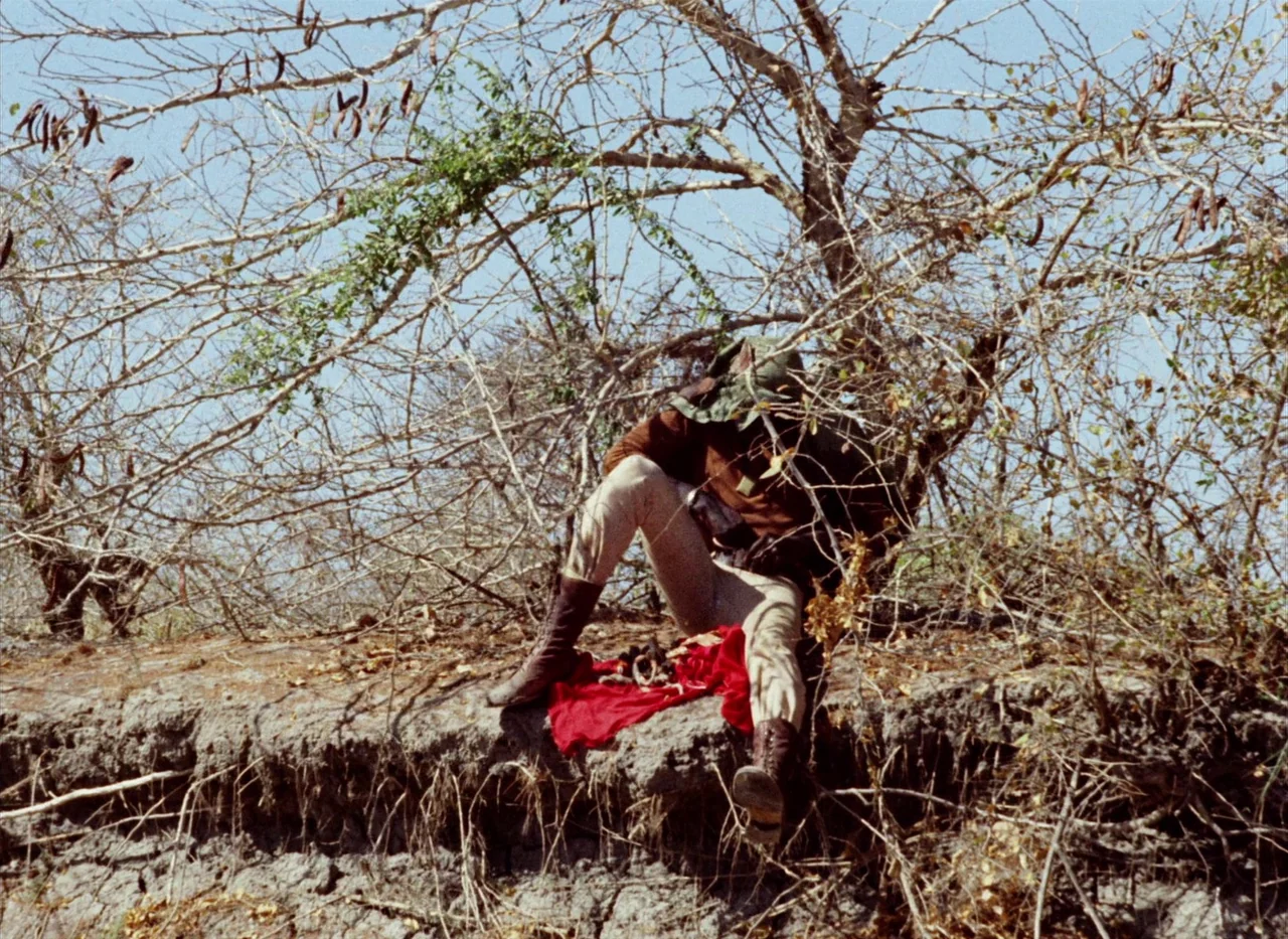 Touki Bouki (1973) movie still: fullbody — A person sits on an eroded, dry riverbank covered in tangled, leafless branches and brush. The individual…