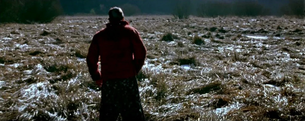 Calvaire (2004) movie still: fullbody — A vast field covered in dry, flattened marsh grasses under bright, low-angled natural light. A solitary man…