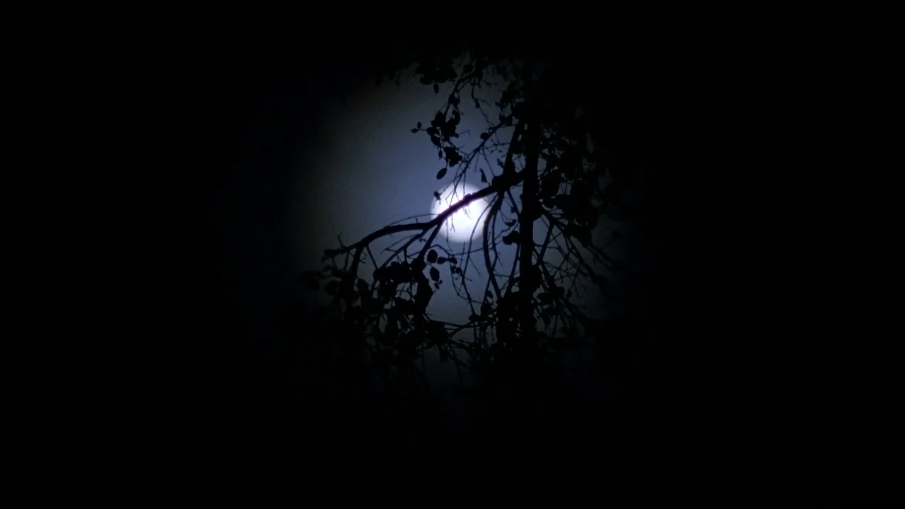 Jason Goes To Hell (1993) movie still: wide — A night view of dark tree branches silhouetted against a bright, luminous moon. The moon glows…