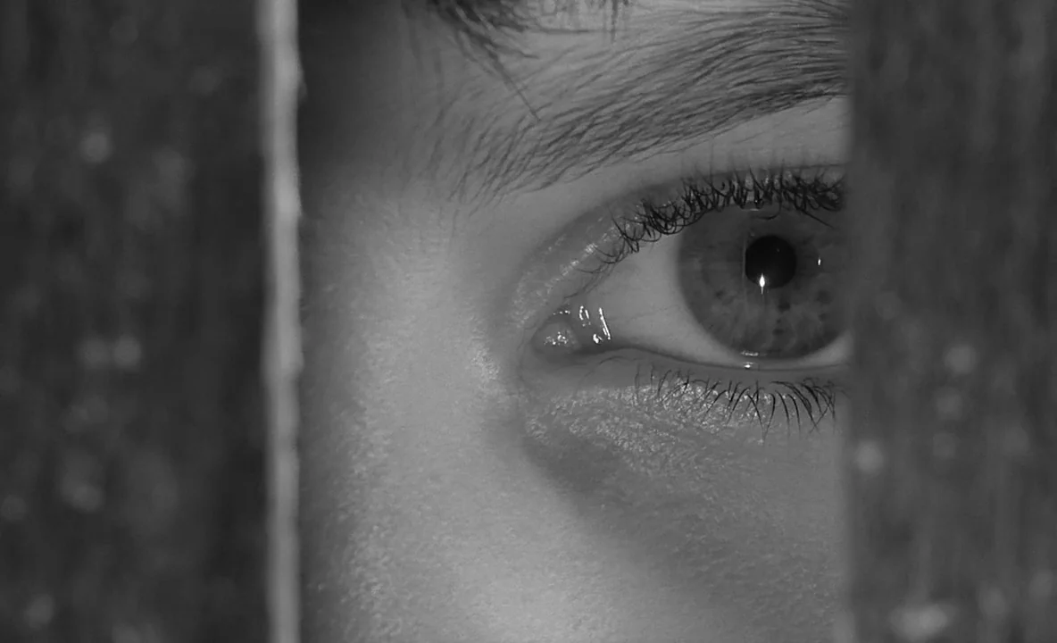 The Trial (1962) movie still: closeup — A human eye peers through a narrow vertical aperture flanked by dark, blurred edges. The eye remains focused…