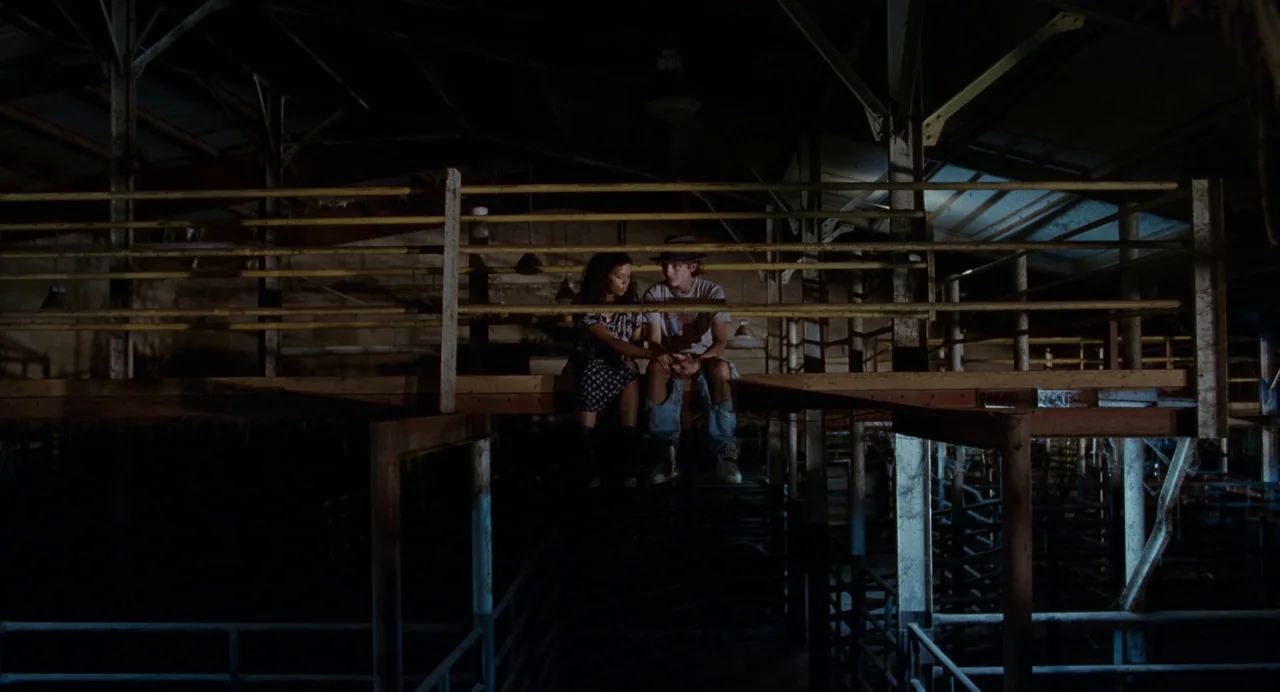 Bones and All (2022) movie still: wide — A dark, cavernous structure with wooden platforms and metal railings throughout the space. A young man and…