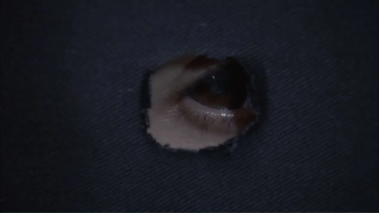Temple Grandin (2010) movie still: closeup — A dark surface has a small circular opening cut into the center. A single eye is visible through this…