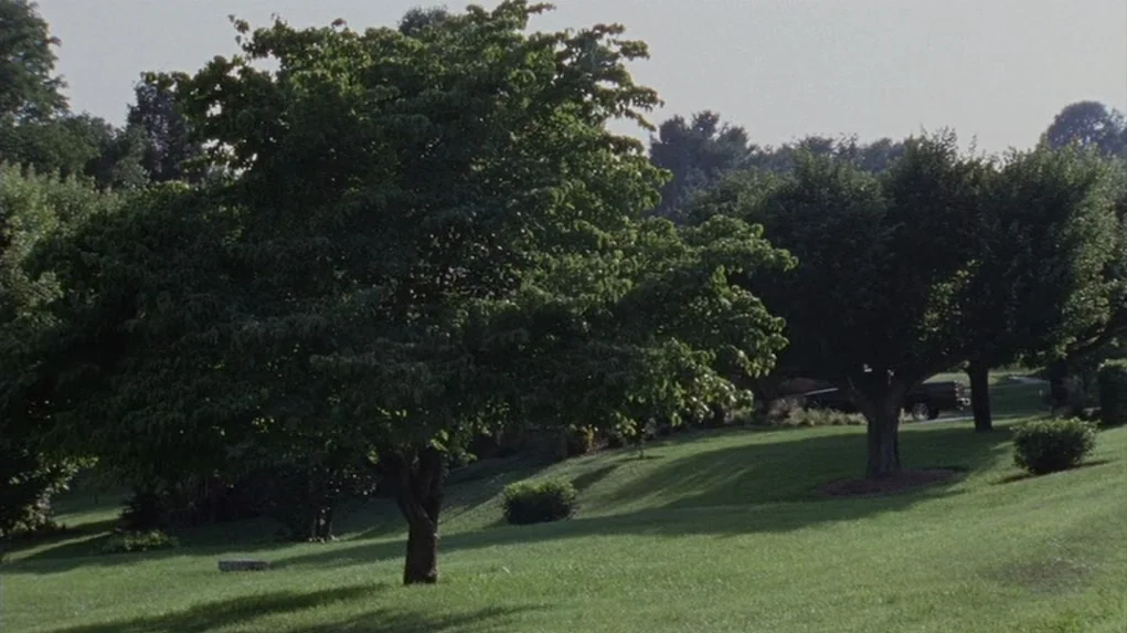 Junebug (2005) movie still: wide — A grassy hill features several mature trees casting long shadows under daylight. A dark truck is partially…