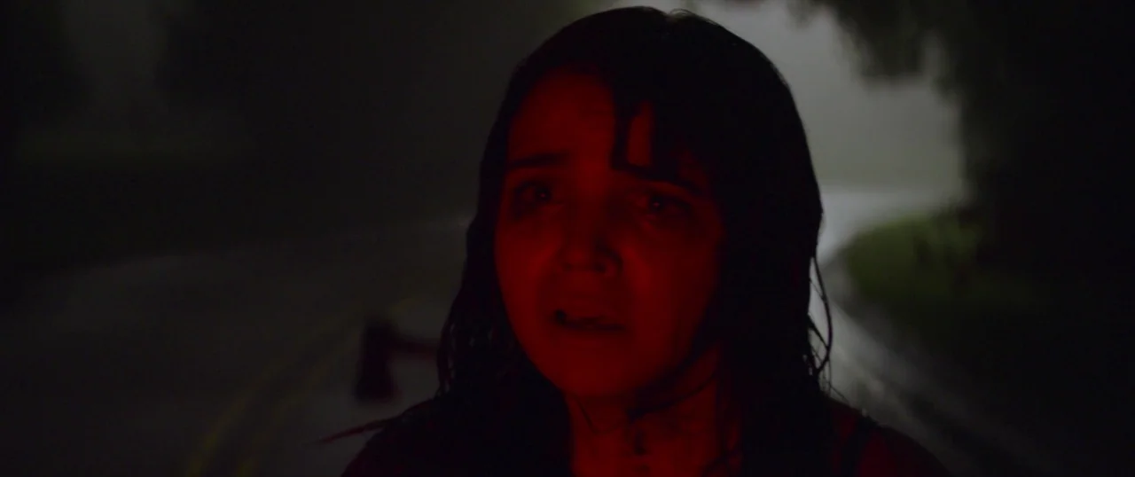 The Strangers: Prey at Night (2018) movie still: closeup — A wet asphalt road at night is surrounded by dark foliage and dim light. A young woman…