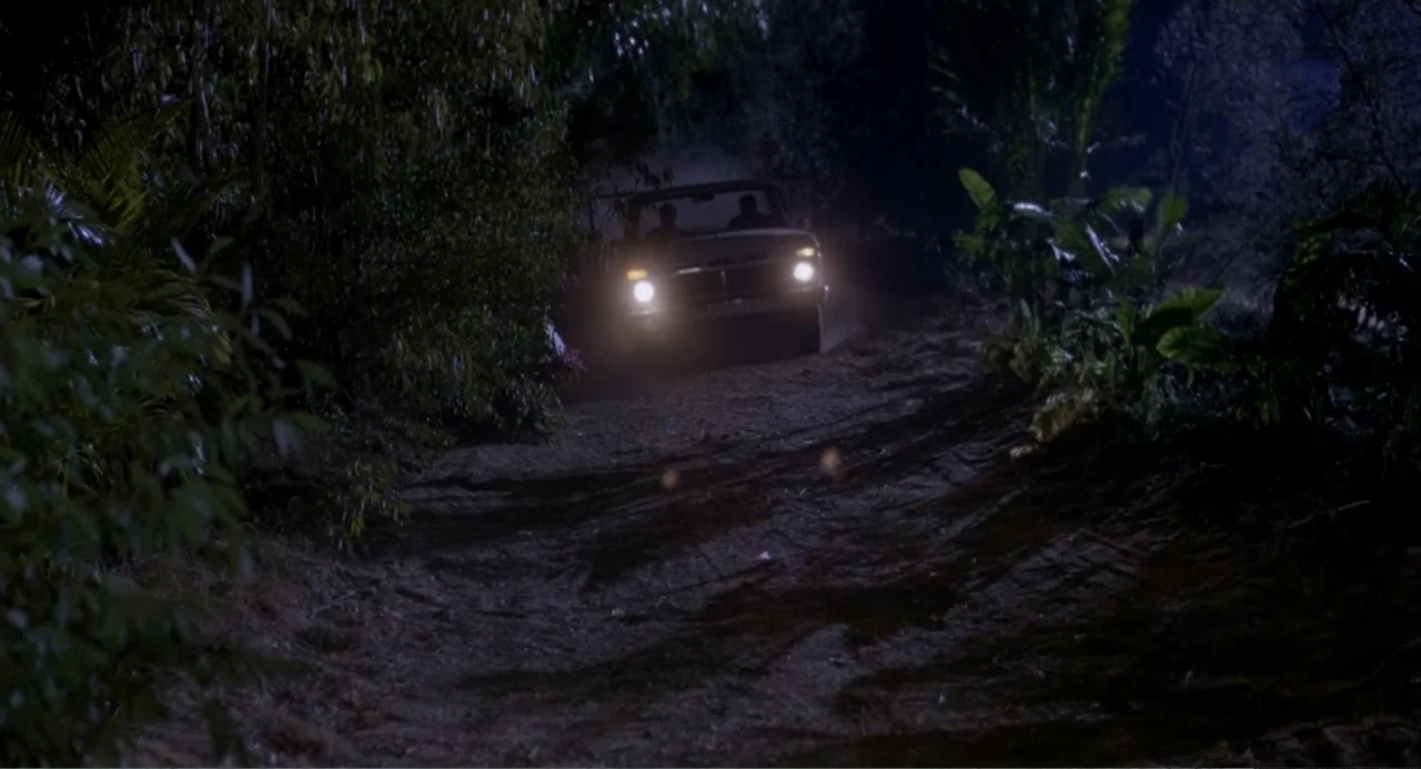 American Ninja 3: Blood Hunt (1989) movie still: wide — A dark, unpaved path is flanked by dense, shadowed vegetation on both sides. A vintage…