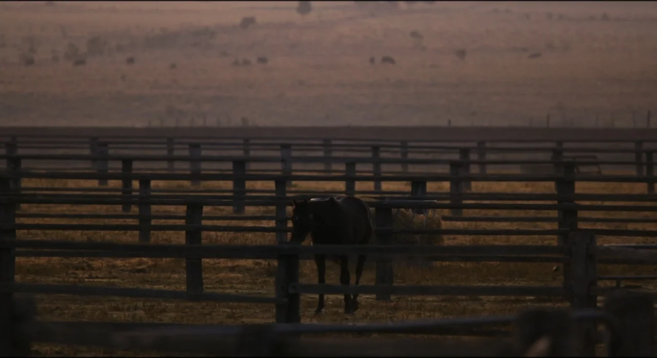 Ride Like a Girl (2019) movie still: medium — A horse stands in a fenced paddock during the low light of golden hour. The animal is positioned in…