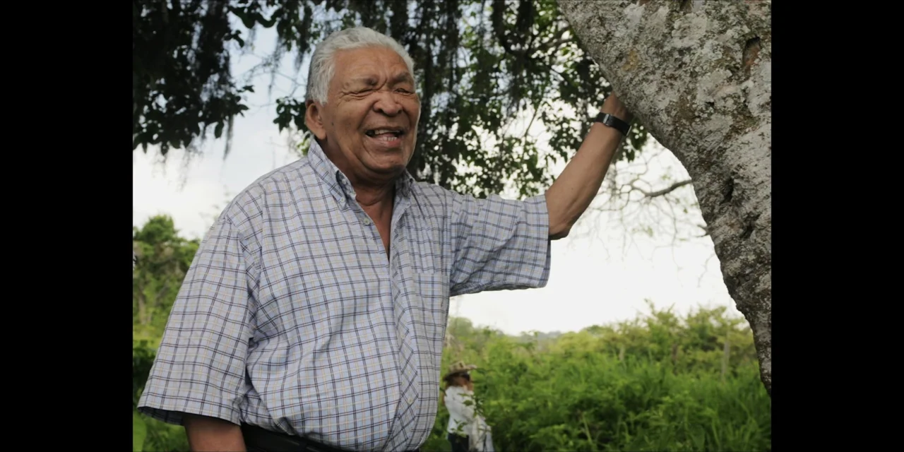 Leyenda Viva (2022) movie still: medium — An outdoor grove with a large tree dominating the right side of the frame. An elderly man with a wide…