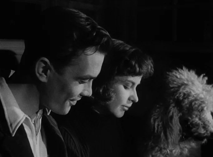 Summer Interlude (1951) movie still: medium — A dark indoor space featuring a young couple sitting side by side. A fluffy dog sits next to the…