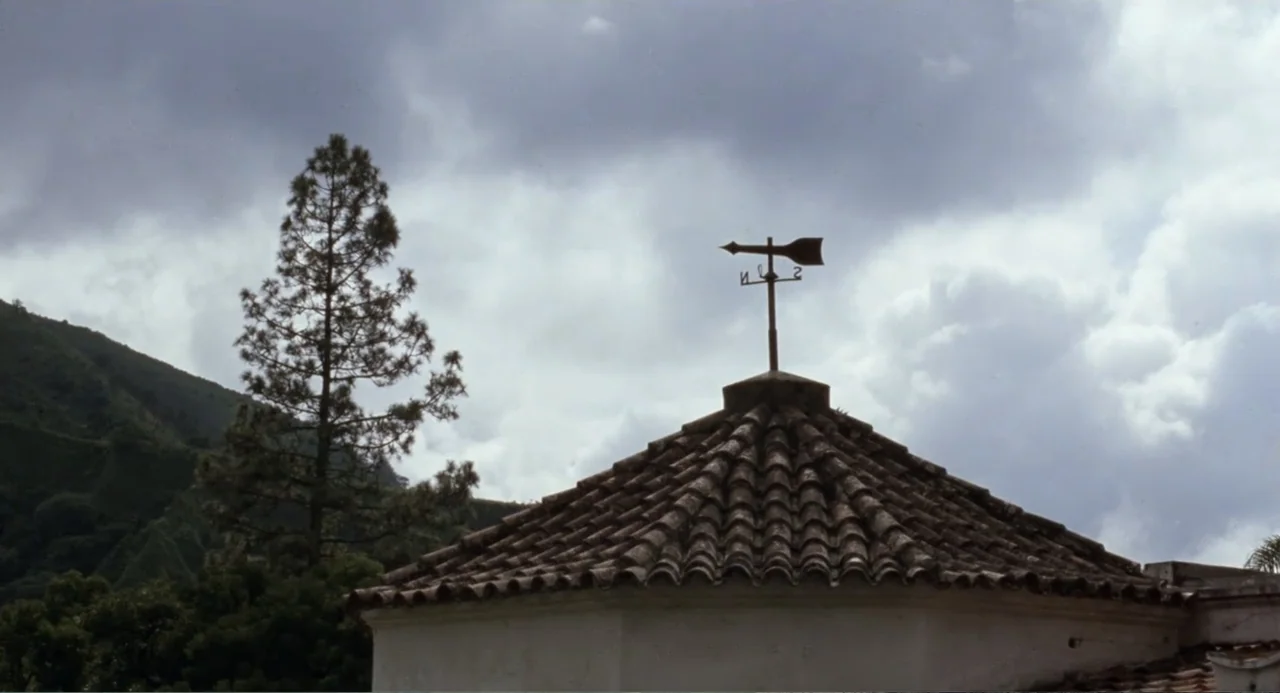 La Ciénaga (2001) movie still: establishing — A peaked roof with clay tiles features a metal weather vane silhouette. A large pine tree stands to…