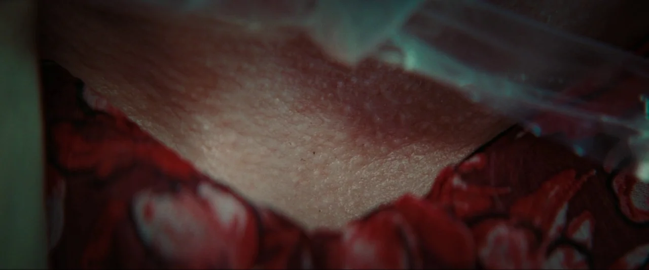 Cuckoo (2024) movie still: closeup — Close up view of skin texture against a dark red patterned textile. A translucent object edge enters the frame…