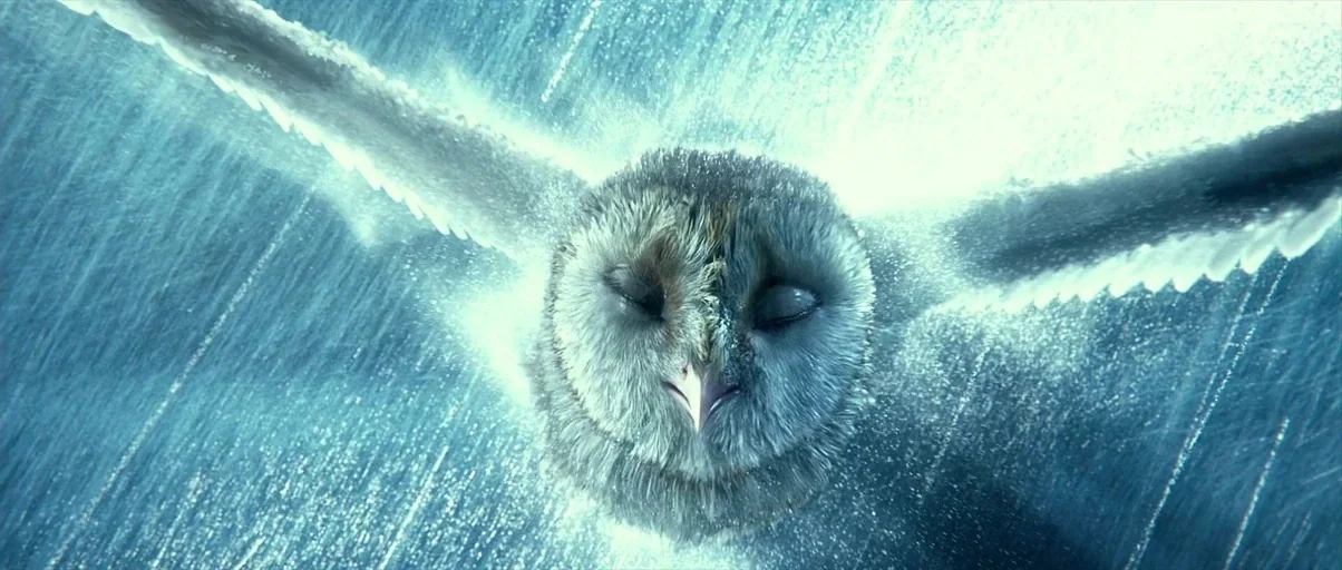 Legend of the Guardians: The Owls of Ga'Hoole (2010) movie still: closeup — A barn owl flies through a dense, blue-toned rainstorm in the night sky.…