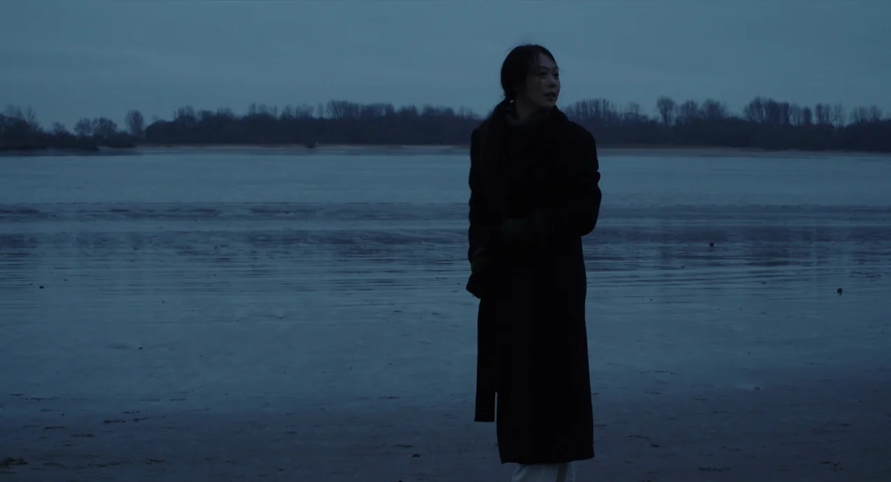 On The Beach At Night Alone (2017) movie still: fullbody — A wide, barren beach at twilight with dark water and a distant treeline. A lone woman in…