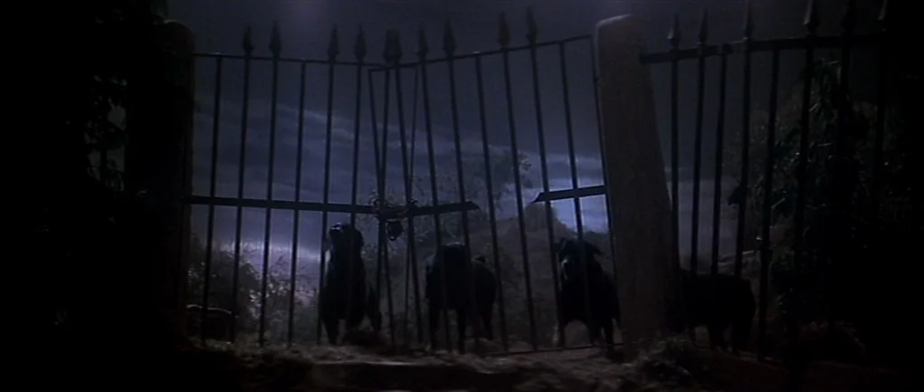 The Omen (1976) movie still: wide — A dark night view of a metal gate with vertical bars against a sky. Four rottweilers stand behind the gate…