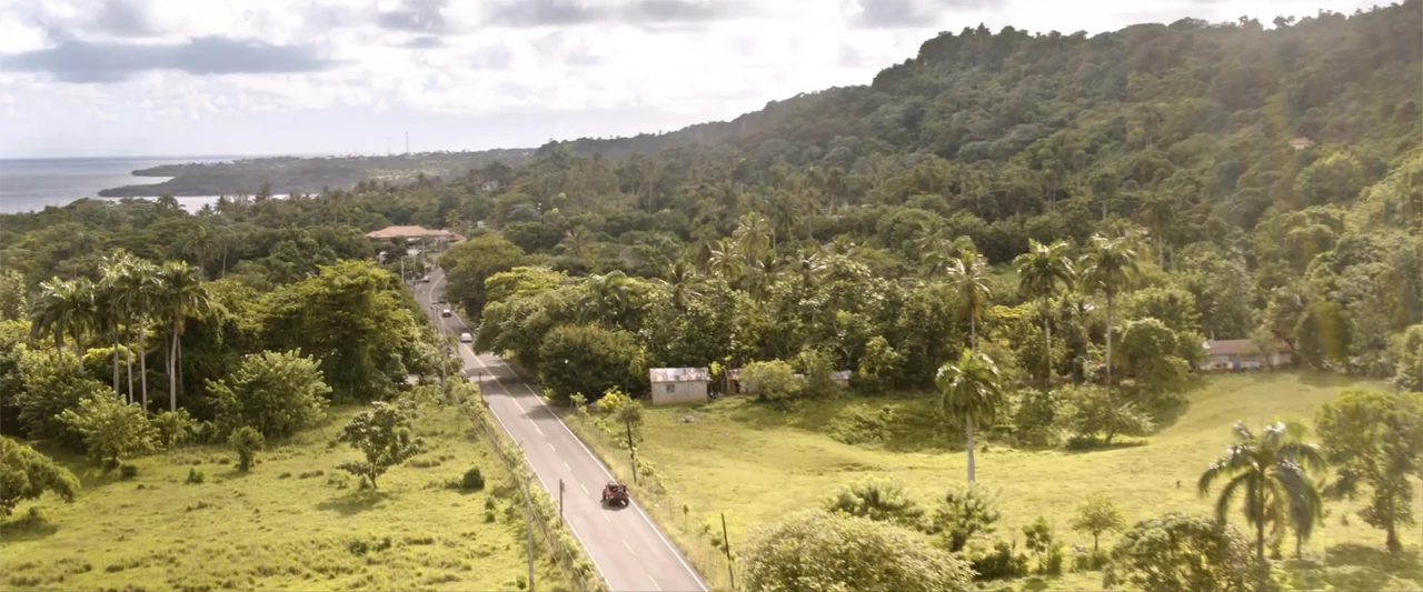 Anaconda (2024) movie still: establishing — A wide aerial view shows a winding road cutting through dense tropical jungle foliage. A single small…