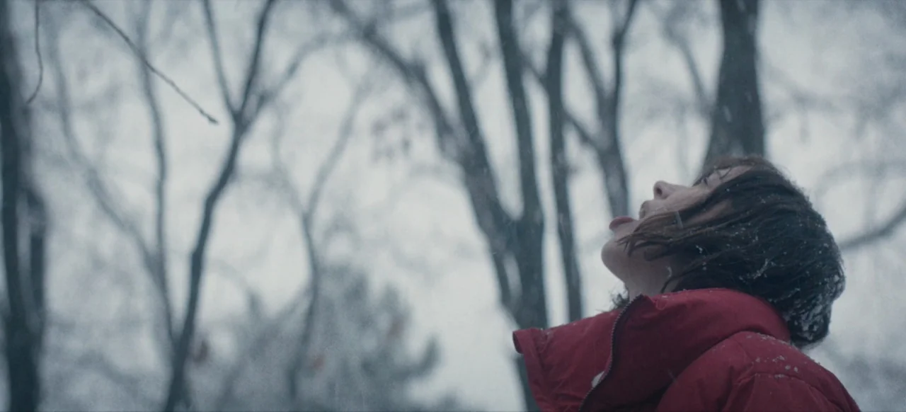Housewife (2017) movie still: medium — A snowy wooded area with bare trees reaching into a grey, overcast sky. A teenage girl looks upward with her…