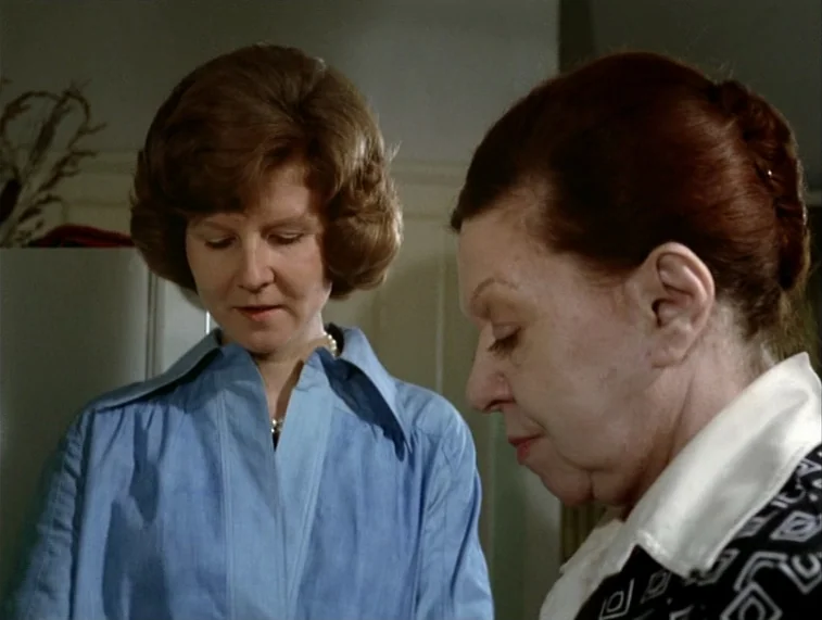 Mother Kusters Goes To Heaven (1975) movie still: medium — Two women stand in a kitchen with neutral walls and a decorative plant behind. They look…