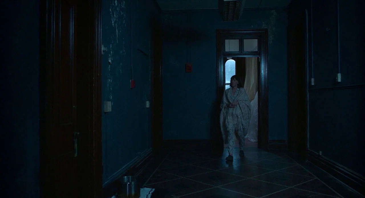 Where’d You Go Bernadette (2019) movie still: wide — A dark, narrow residential hallway features dark blue walls and a patterned tile floor. A woman…