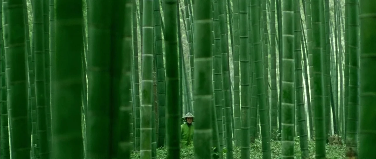House of Flying Daggers (2004) movie still: wide — A dense bamboo grove features vertical stalks filling the frame with a person centered. The…