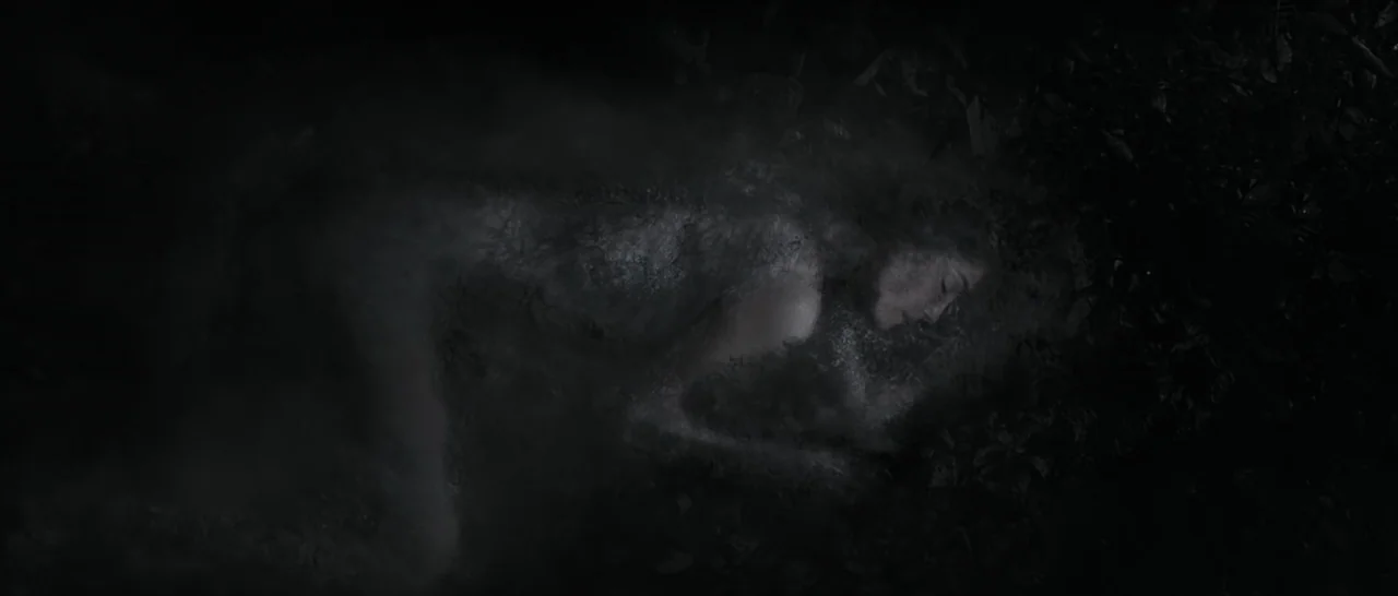 Tale of Tales (2015) movie still: medium — A person lies amidst dark foliage on the ground in a dimly lit setting. The figure is partially obscured…