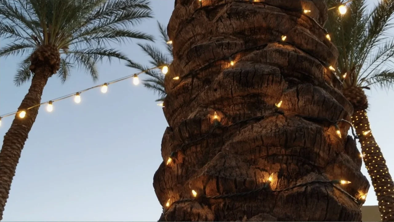 Always and Forever Christmas (2019) movie still: medium — A thick, textured palm tree trunk stands in the center of the frame during dusk. Strings…