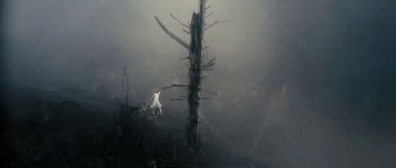 Antichrist (2009) movie still: wide — A desolate landscape filled with dead trees and dark, dry undergrowth obscured by fog. A small girl in a…