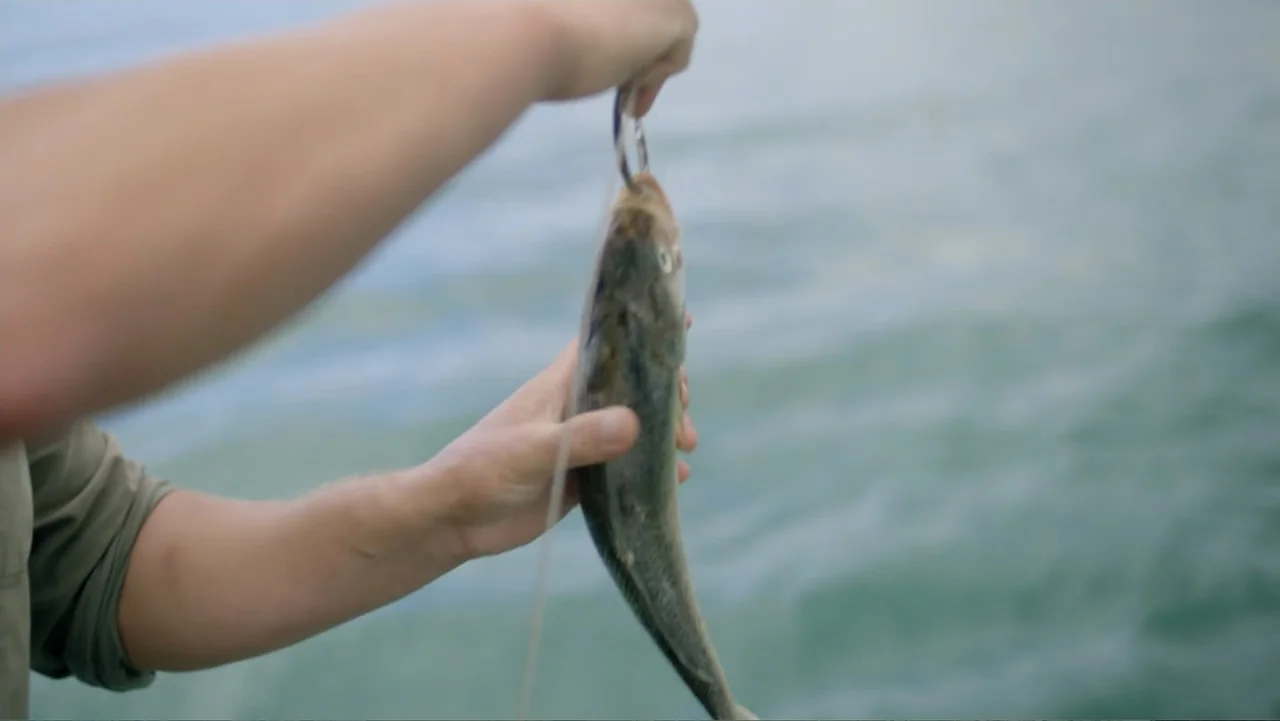 Jaws in the Shallows (2023) movie still: closeup — Open water provides a blurred background for a close perspective on a caught fish. A pair of…