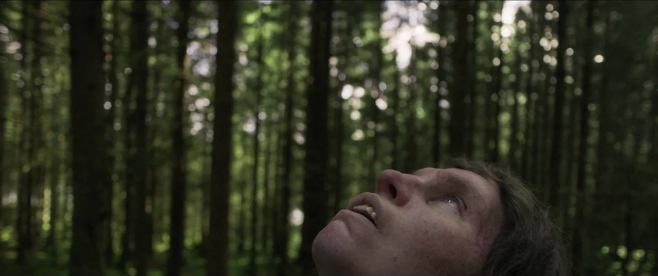 Border movie still: closeup — A dense evergreen forest features tightly packed tree trunks rising into the sky. A young man tilts his head back…