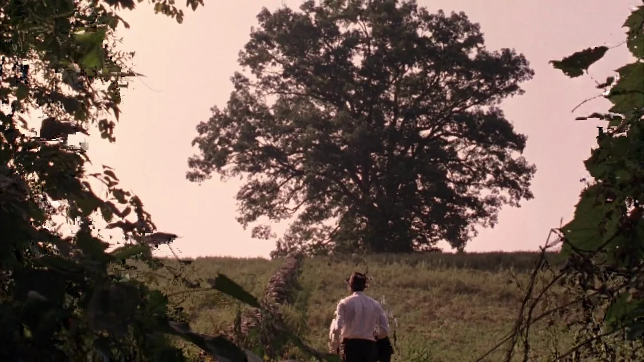 The Shawshank Redemption (1994) movie still: wide — An expansive open field features a large solitary tree atop a grassy rise. A man in a white…