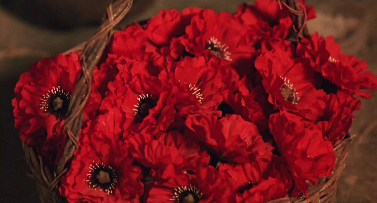 Caravaggio (1986) movie still: closeup — A woven wicker basket is filled to the brim with numerous vibrant red poppies. The blossoms feature…