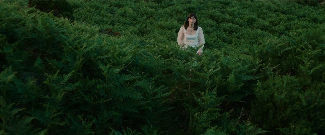 Fréwaka (2024) movie still: wide — A vast field covered in dense green ferns during the golden hour. A woman in a white dress stands alone in the…