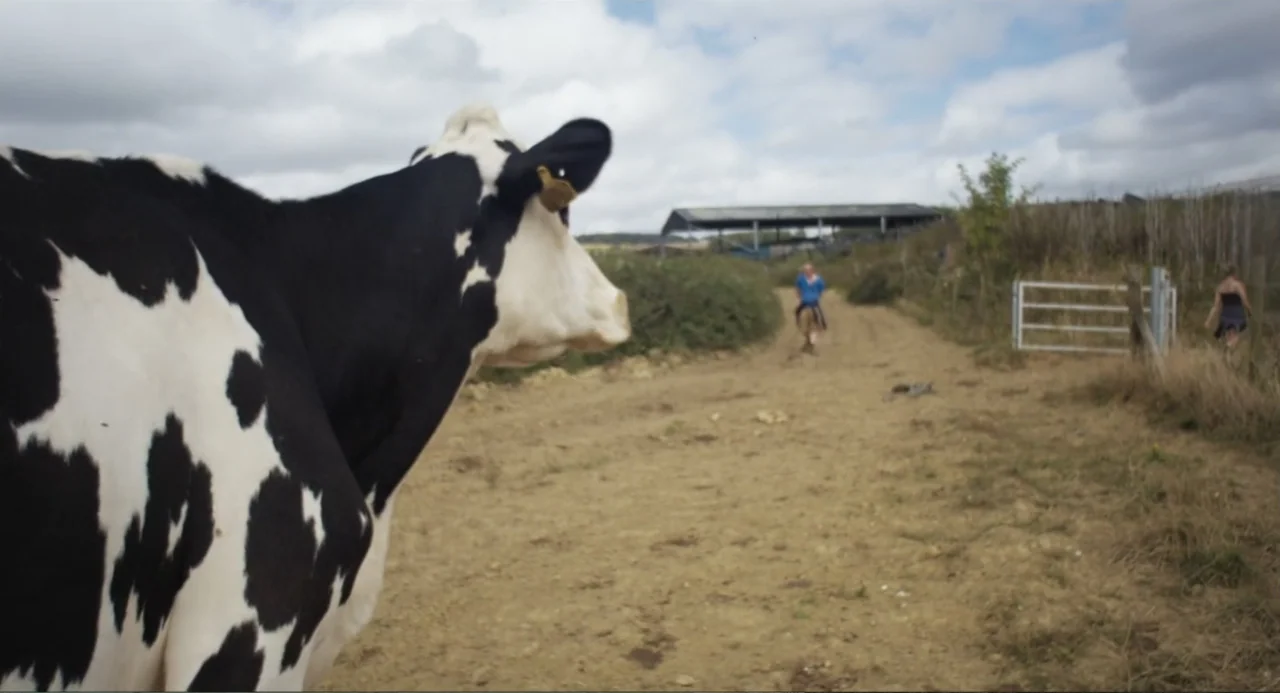 Cow (2022) movie still: medium — An open dirt path crosses a rural landscape under a cloudy sky. A black and white cow stands in the extreme…
